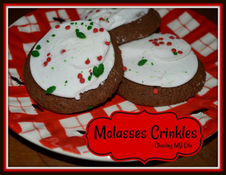 MOLASSES CRINKLES Chasing MY Life WHEREVER it Leads ME